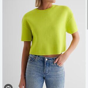 NWT Express Crew Neck Short Sleeve Boxy Sweater